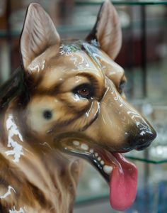 Untitled (Dog Head), Hong Kong, 2016, Chromira print on Glossy Fujicolor Crystal Archive Paper, 14 x 11 inches