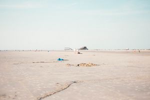 shellanddragonpeople