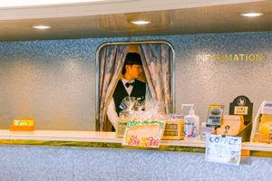 Yakushima Ferry.