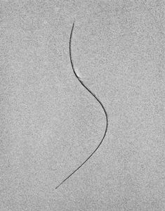 Sea Etching 48