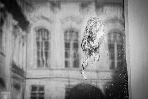 Fade Out