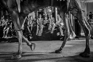 Festival parade
