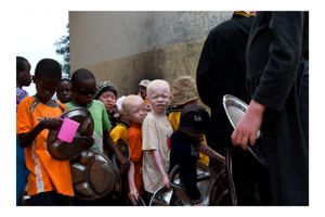Fight for lunch, Albinos camp.