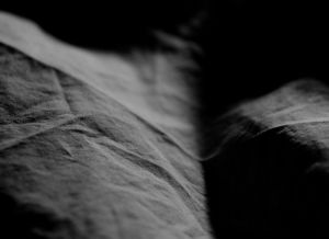 Hide 1 © Anastasia Davis