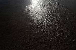 shimmer