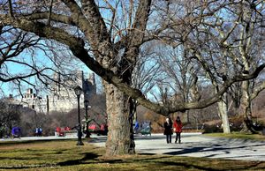 New York, Central Park
