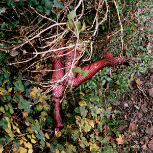 Interloper (deadlegs2)