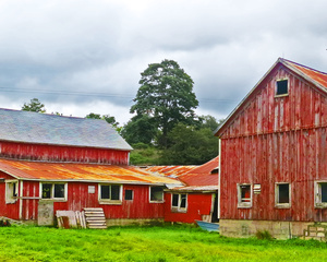Red Barns-Delaware County, NY