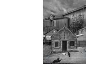 Cabins / Dawson City