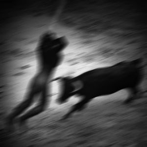Nº8 / internal fight