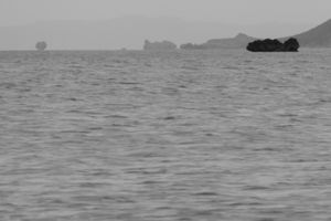 Drizzling Bay-10