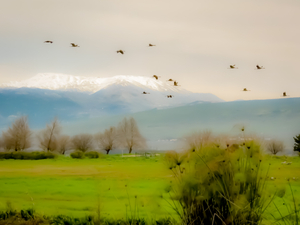 VIEW TO THE MOUNTAIN