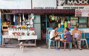 Poping Flower Shop
