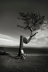 Human Nature #2