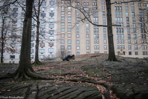 Central Park Christmas