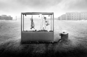 © Samad Ghorbanzadeh