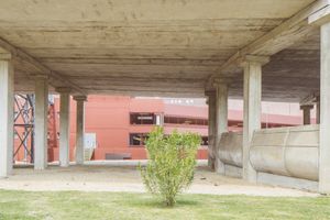 © Daniele Cametti Aspri