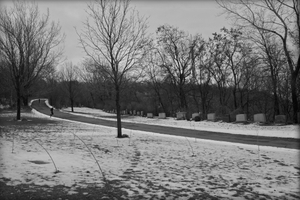 Mount Royal - From Mordecai's Bench
