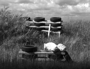 Fallen Antiquity