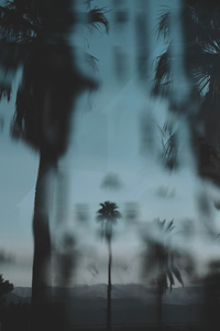 Blurred lines