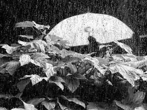 A Day In The Rain Part 2