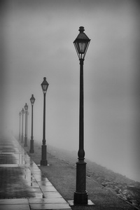 Lamposts in Fog