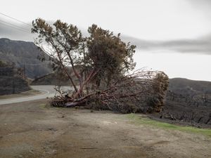 Charmlee Wilderness Park (2355)