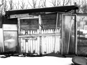 Garden shack