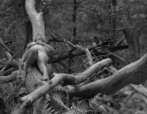 Emergence