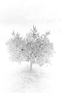 Old as Cold Water 1