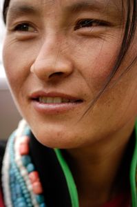 Milin village, Tibet © Forest McMullin
