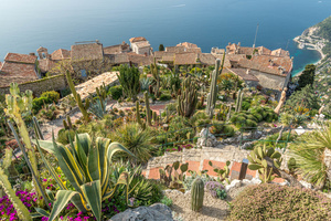 Eze village - the exotic gardens