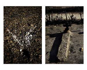 Portraits of a fire / Retratos de un incendio