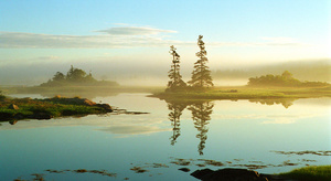 The Basin
