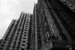 "Hong Kong"
