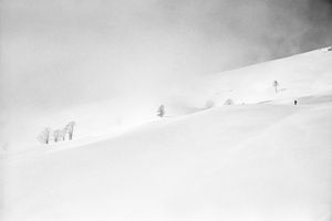 Nel Bianco