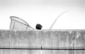 © Flavio Martin Morante