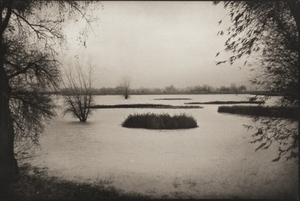 Gray's Island