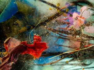 Abstract #5