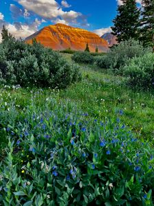Bluebells, West Gunsight Peak (13,103'); Henry's Fork Basin