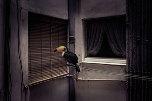 Rita hangs by a thread