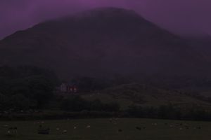 Purple haze