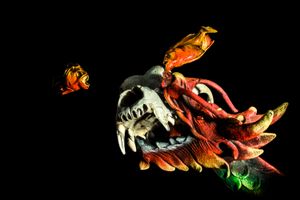 Piranha - Dissection