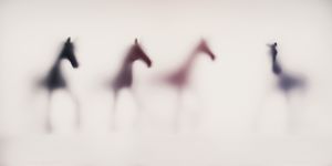 Wild-blur-horses-06.jpg