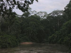 "Tanguntsa"