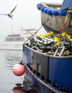 Color on a grey Seattle winter morning