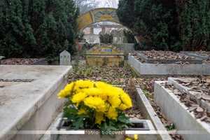 Grave