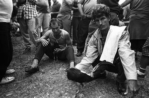 The Cockfighters of Viñales