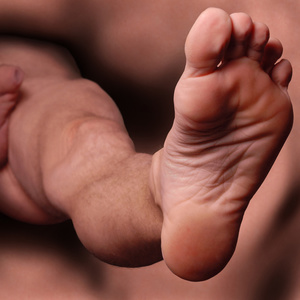 Foot Print L