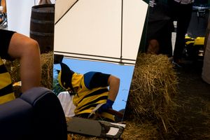 Wolverine waiting for a haircut. Gijón. 2016